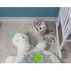 Taggies Embroidered Soft Ring Rattle, Painted Pony, 6-Inches