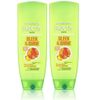 Garnier Conditioner, Sleek and Shine, 13 Fluid Ounce (2 Pack)