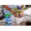 Miracle-Gro Water Storing Crystals, 12 oz. (5-Pack)