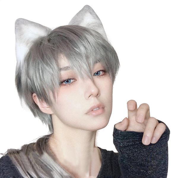 FESHFEN Wig, Wolf, Men's, Short, Full Wig, Long, Mashwolf, Men's Dresses, Wig, Wolf, Cut, Wig, Men's Curl, Harajuku, Handsome, Handsome, Natural, Small Face, Heat Resistant, Fashion, Imechan, Unisex, With Net/Comb, Light Gray