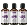 3 x NOW Lavender Oil 2 fl oz Aromatherapy