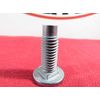 Carriage Bolt