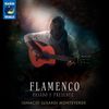 Flamenco - Pasado Y Presente