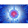 SPERM BOOSTER - Increase Sperm Count - Powerful Ejaculations - to Treat & Preven