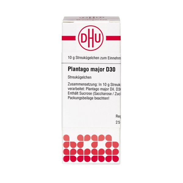 Plantago major D30 DHU Globuli, 10 g Globuli