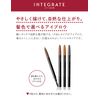 Integrate Shiseido Eyebrow Pencil - BR641