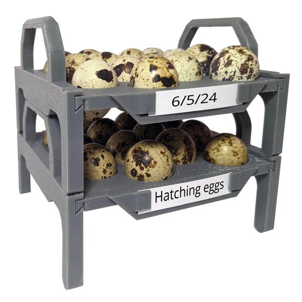 Smarter Designs Quail Egg Storage Basket - 28 Egg Capacity - Stackable, Grey Plastic, Rectangular, Modern Design - Ideal for Kitchen Counters
