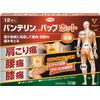 【第2類医薬品】バンテリンコーワパップホット 12枚