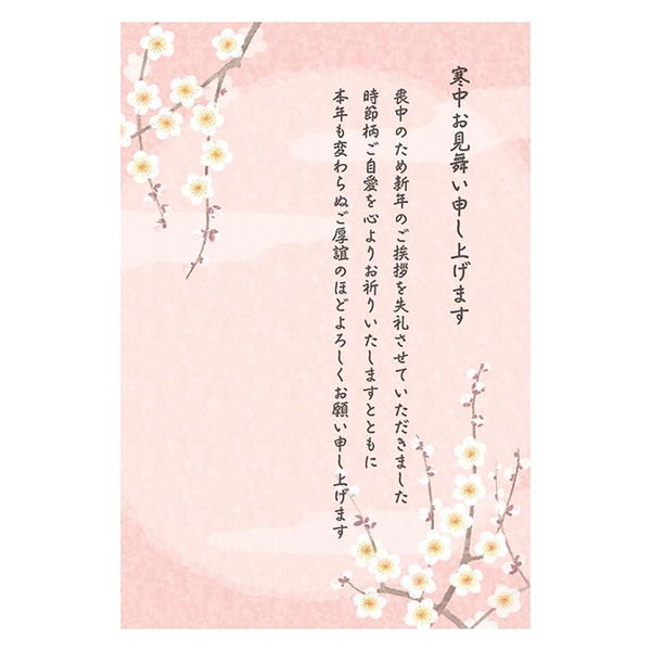 Sanrio 530450 Cold Weather Visit Postcard Pink with White Plum Greeting Card International Shipping Available JNPK 9-4 SANRIO