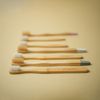 Eco-friendly 100% Vegetable Toothbrush (For Adults)