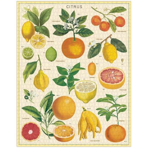 Cavallini 1000 Piece Puzzle, Citrus (PZL/Citrus)