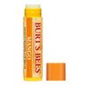 Burt's Bees 100% Natural Moisturizing Lip Balm, Mango Beeswax & Fruit Extracts - 2 Tubes