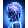 Boost Deep Sleep Capsules - Valerian Root Extract 4:1 - Organic Valerian 1B