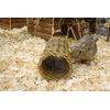 Nature First Small Willow Tube for Small Animals