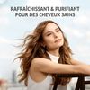 Wella Refresh Wash Shampoo 250 millilitres