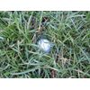 6-Pack - Low Profile Survey Marker - Property Boundary Marker - PLAIN COLOR 