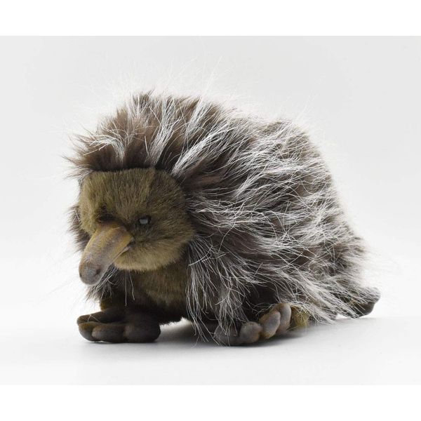 Echidna 11 inches 28cm