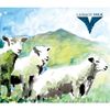 Laibach Volk
