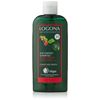 Logona Bio Caffeine Age Energy Shampoo