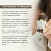 Bee and You Royal Jelly, Propolis & Bee Pollen Tablets Supplement - 60ct