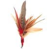 Da Wild Thing Feather Teaser Wand and Replacement Lure by Go Cat