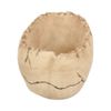 Nemesis Now Lobo Ashtray 13.5cm Ivory
