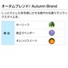 Autumn Blend 100ml Aroma Blend Incent Essential Oil 100ml
