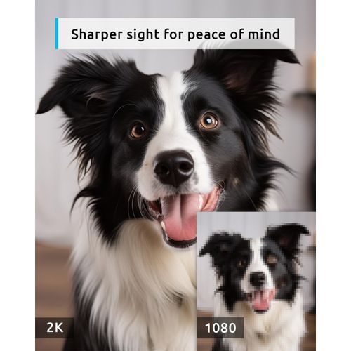 blurams Indoor Camera 2K, Pet Camera with App, 360° Dog Cameras House Security, Baby Monitor with Color/IR Night Vision, 2-Way Talk, Motion Detection&Tracking, Cloud&SD(2.4GHz Only)