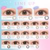 Candymagic BLB 1day Candy Magic BLB 1day [Color] Sherry Greige [PWR] ±0.00 (no degree) 10 pieces 1 box