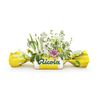 Ricola Natural Honey Herb 24 Drops