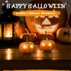EverBrite 2Pack Halloween Pumpkin Headlamp 2 Modes LED Head Lamp Adjustable Band