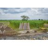 The cordeline cjn37 Roll Jute String 200 m