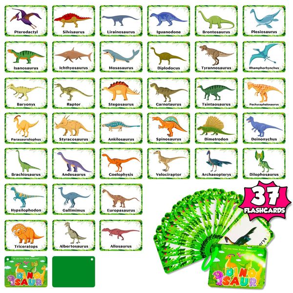 Reusable Dinosaur Cognition Flash Cards for Kids, 37PCS Cartoon Dinosaur Learning Flashcards Waterproof,Portable Double-Sided Educational Preschool Toddler Dinosaur Flash Card