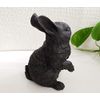 Yokohama Charcoal Monogatari Rabbit Rabbit