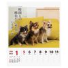 2025 Chihuahua Senryu (Weekly Turning) Calendar No. 025