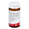 Berberis/Prostate Comp.Globules 20 g