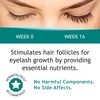 FEG Eyelash Rapid Eye Lash Growth Serum | For Lash and Brow | Creates Longer & Darker Eyelashes | Eyelash Enhancing Serum to Help Lengthen, Thicken and Darken Your Eyelashes | Single Pack
