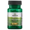 Swanson L. Plantarum - Digestive Supplement Promoting Gastrointestinal Balance & Bowel Regularity - Natural Formula to Help Reduce Bloating - (30 Veggie Capsules)