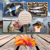 Nuke Bait - Forellen/Barschköder - Twister mit Aroma - 5 STK. - Das Original - Barsch Köder, Gummiköder mit Lockstoff, Angelköder, Raubfisch (Knoblauch, Orange/Pink, 6cm)