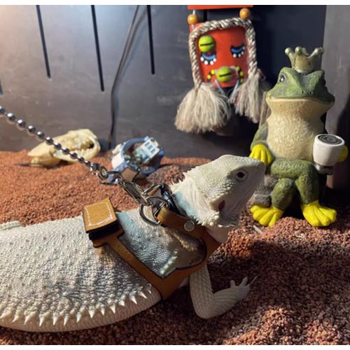 KUNBIUH Bearded Dragon Harness and Leash Adjustable(M,L,XL) - Soft Leather Reptile Lizard Leash Accessories for Bearded Dragon, Lizard and Other Small Pets (L)