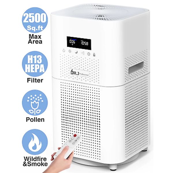 HEPA Air Purifier for Large Rooms up to 2500 Sq.Ft, Air Purifiers for Pet Dander