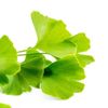 Hibiscus White & Green tea Foaming Skin scrub