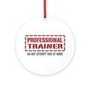 CafePress Professional Trainer 4" Round MDF Wood Ornament