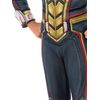 Rubies Deluxe Wasp Costume, Large