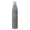 Firenze Professional Color Protection Bundle - Silver Hair Shampoo & Conditioner