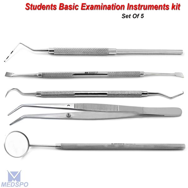 Hygienic Dental Plaque Calculus Tartar Remover Tooth Scraper Mirror Instruments