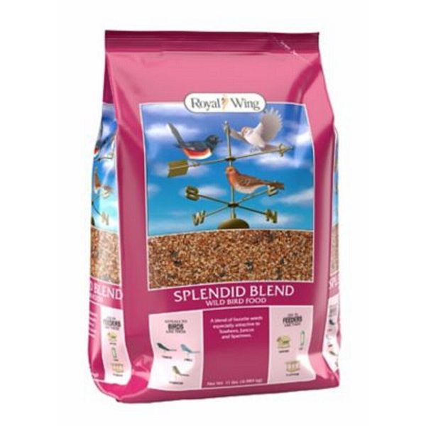 Royal Wing RWDWB-1 Pet Supplies 11 Pounds Splendid Seeds Blend Wild Bird Food