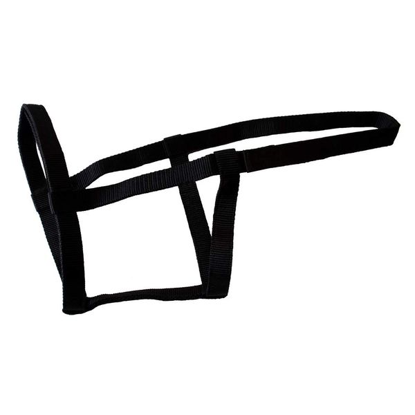 Rhinegold Field Safe Headcollar-Shetland-Black