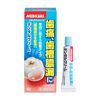 [2 drugs] Medicare Dental Cream T 4g