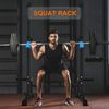 Adjustable Squat Rack Barbell Rack Bench Press Rack Push Up Weight Lifting